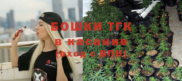 эйфоретик Аркадак